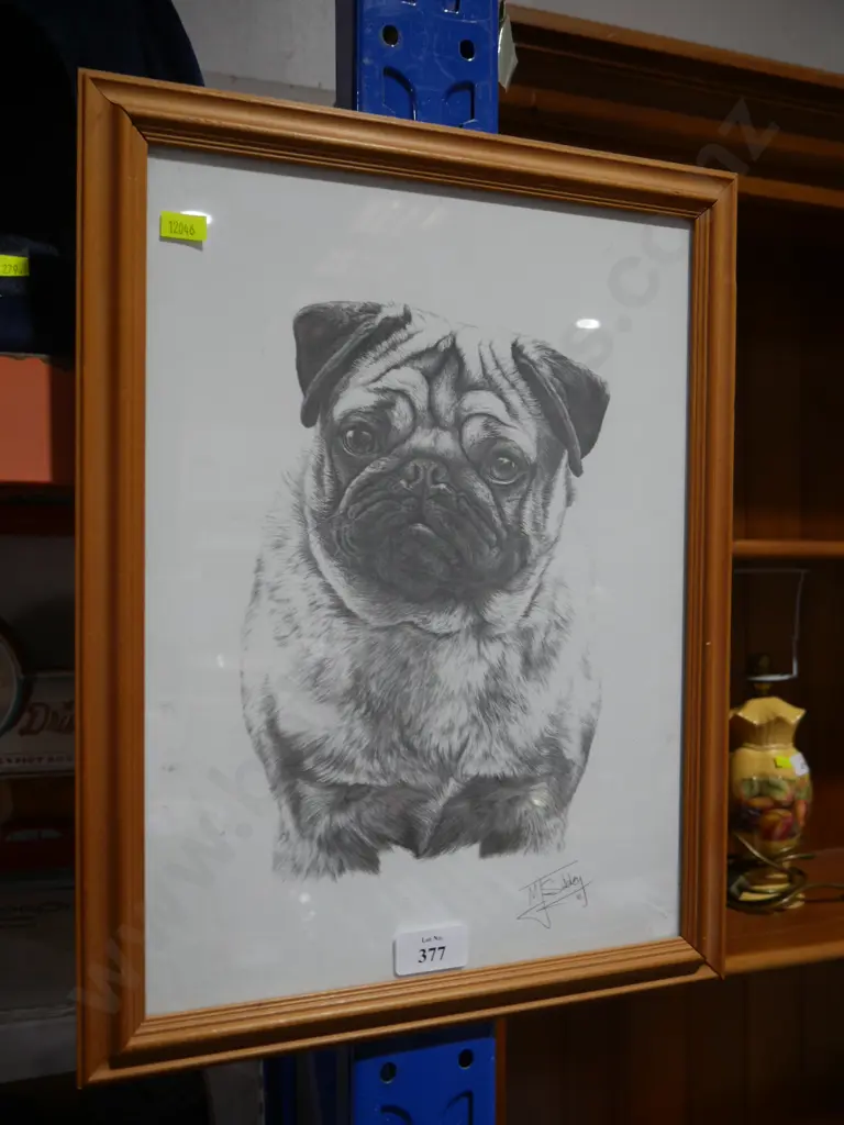 Pug sketch Image 1++