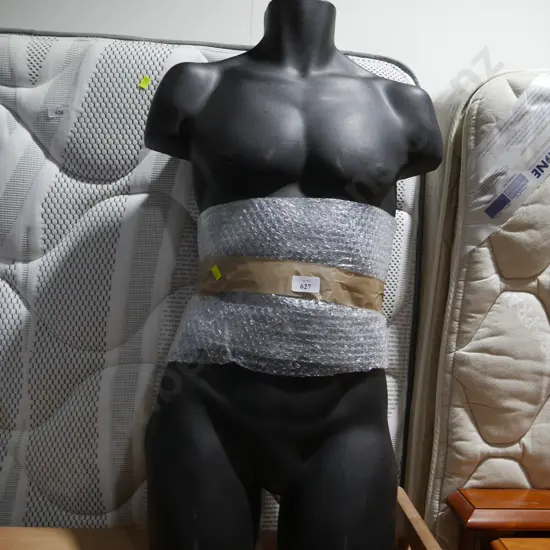 Male torso models