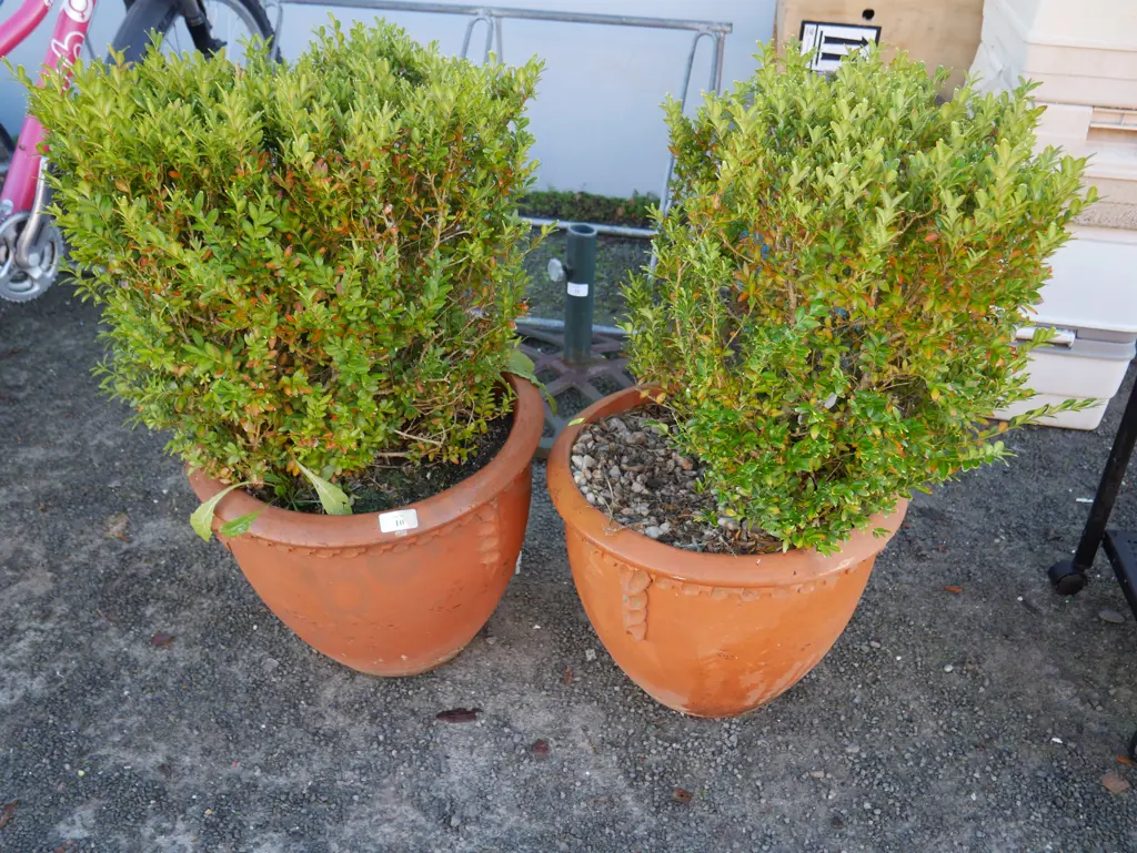 2 plant pots Image 1++