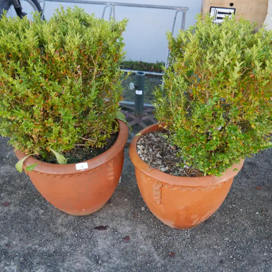 2 plant pots
