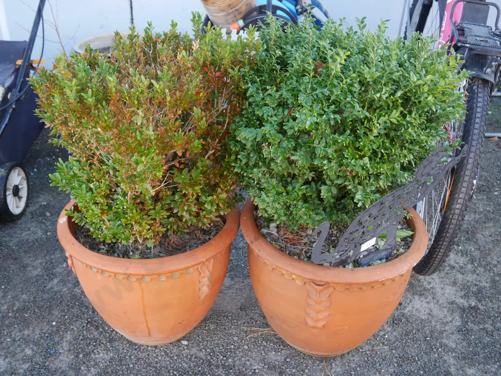 2 plant pots Image 1++