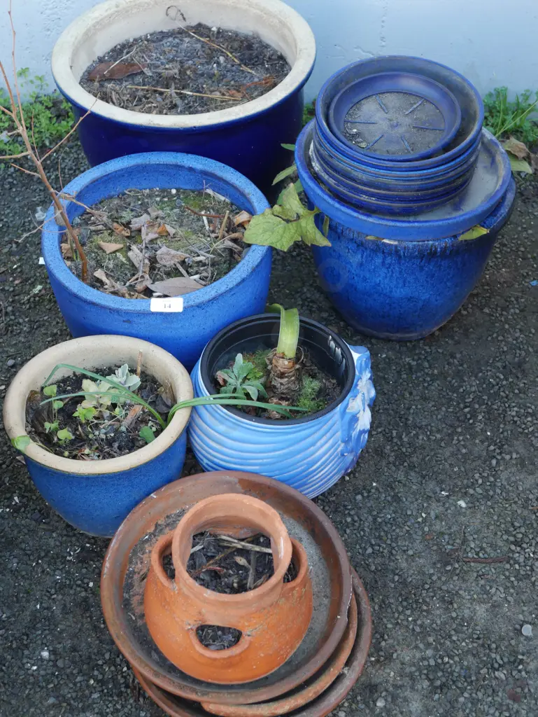 Plant pots Image 1++