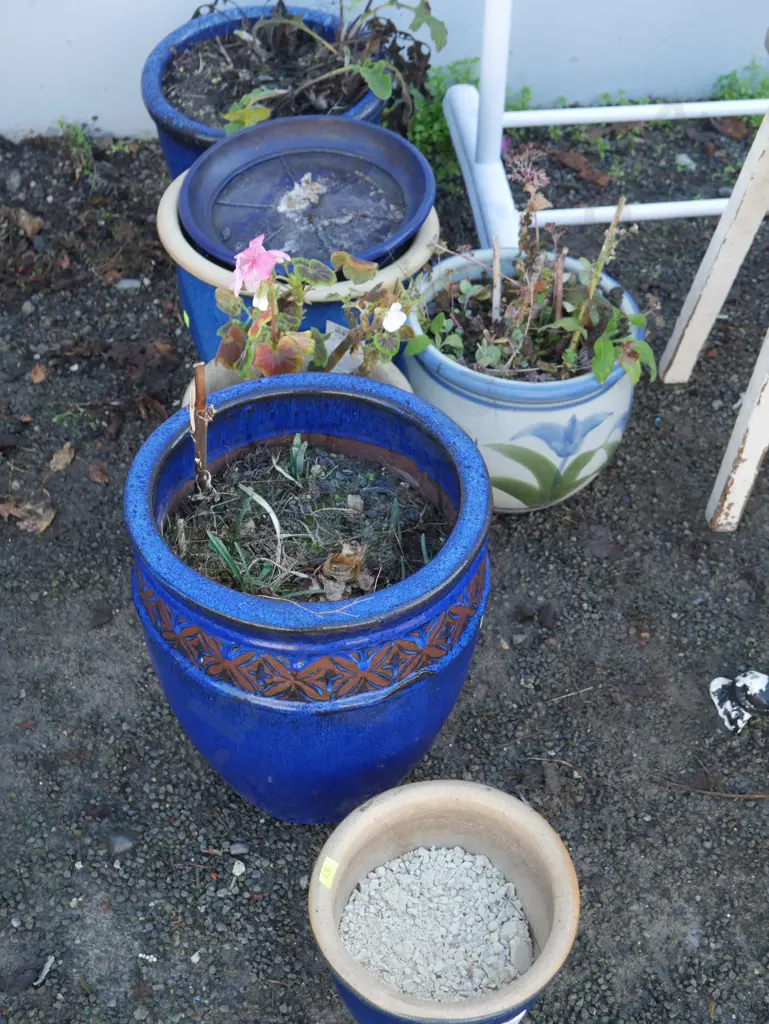 Plant pots Image 1++