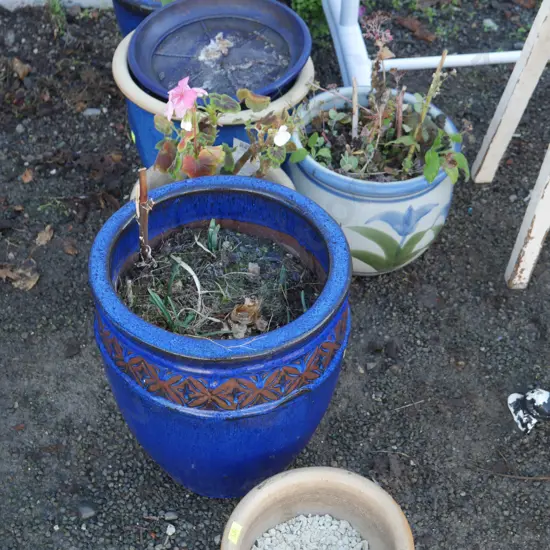 Plant pots