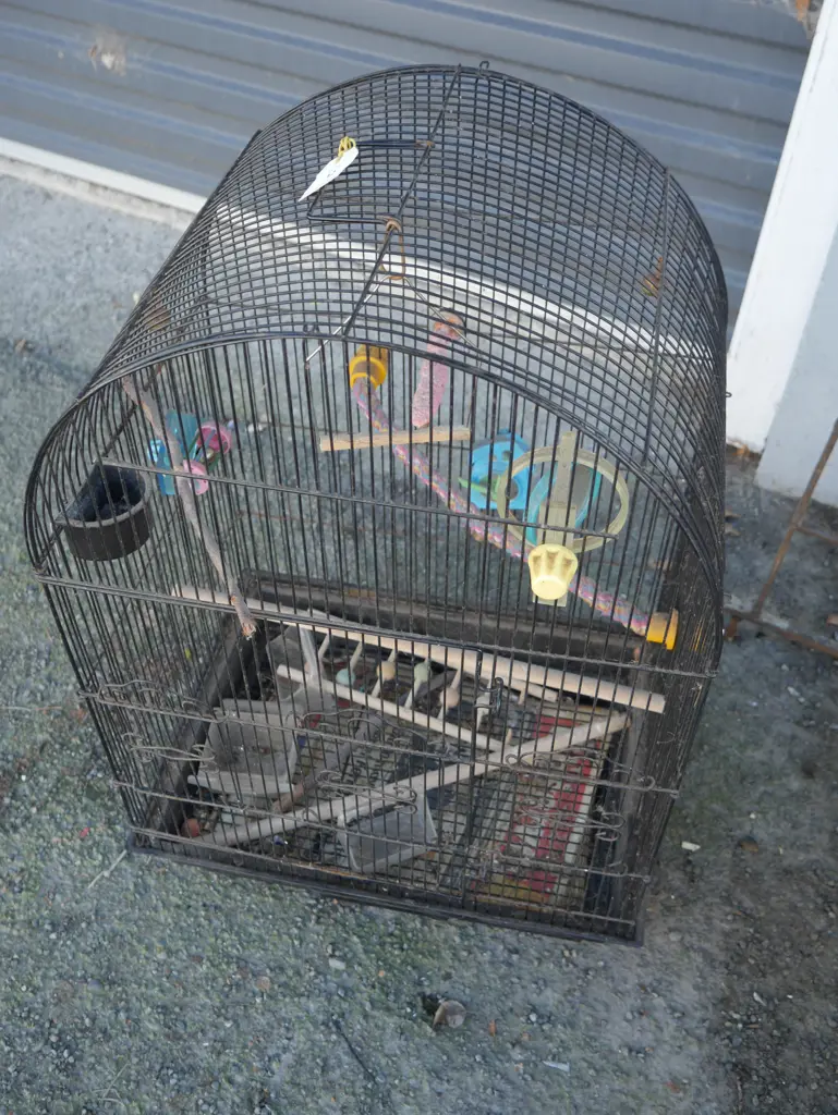 Bird cage Image 1++