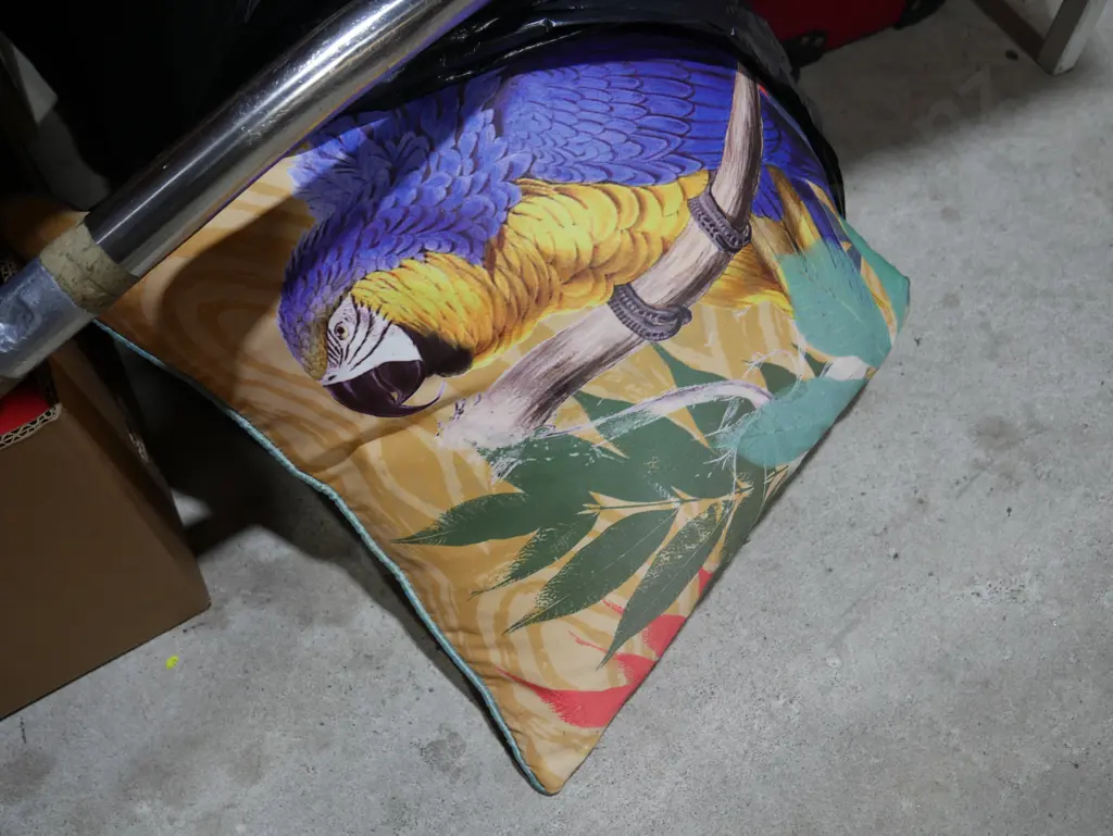 Cushions Image 1++