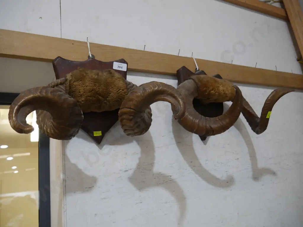 Horns Image 1++