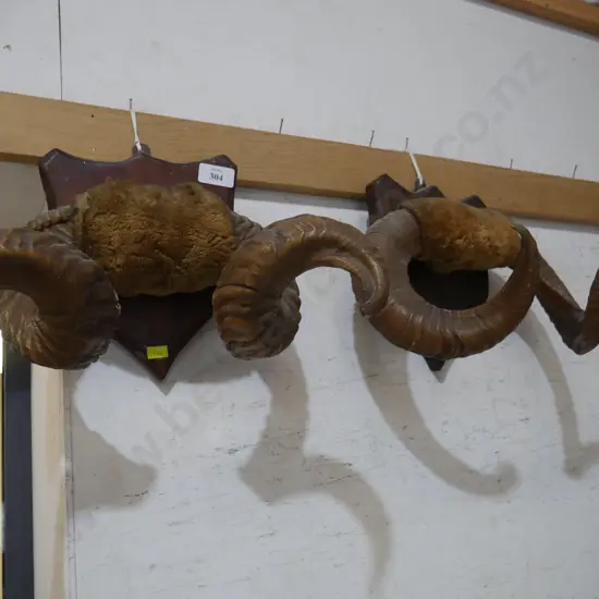 Horns