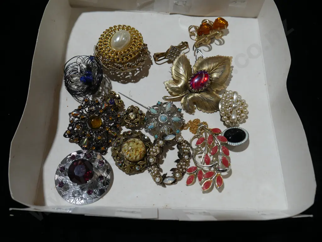 Brooches Image 1++