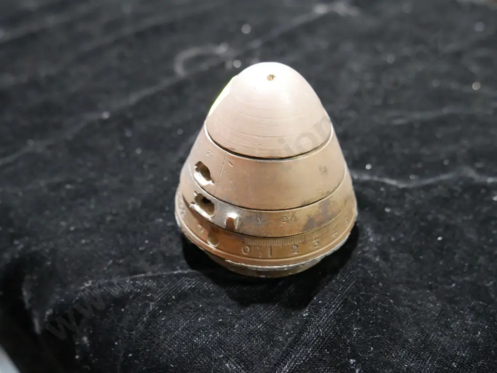 Shell cap Image 1++