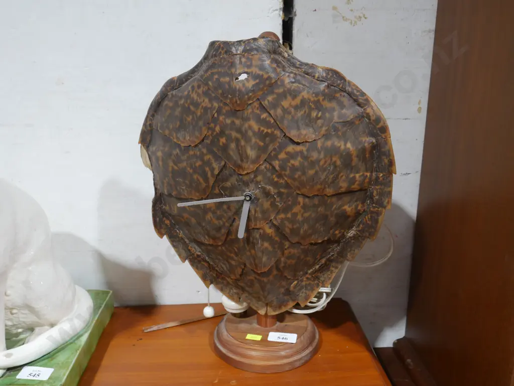 Turtle shell clock Image 1++