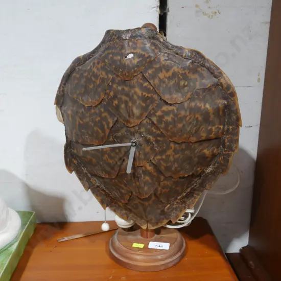 Turtle shell clock